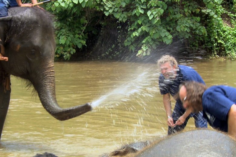 Bathing elephants in Thailand