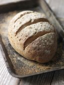 The Hairy Bikers' Big Book of Baking